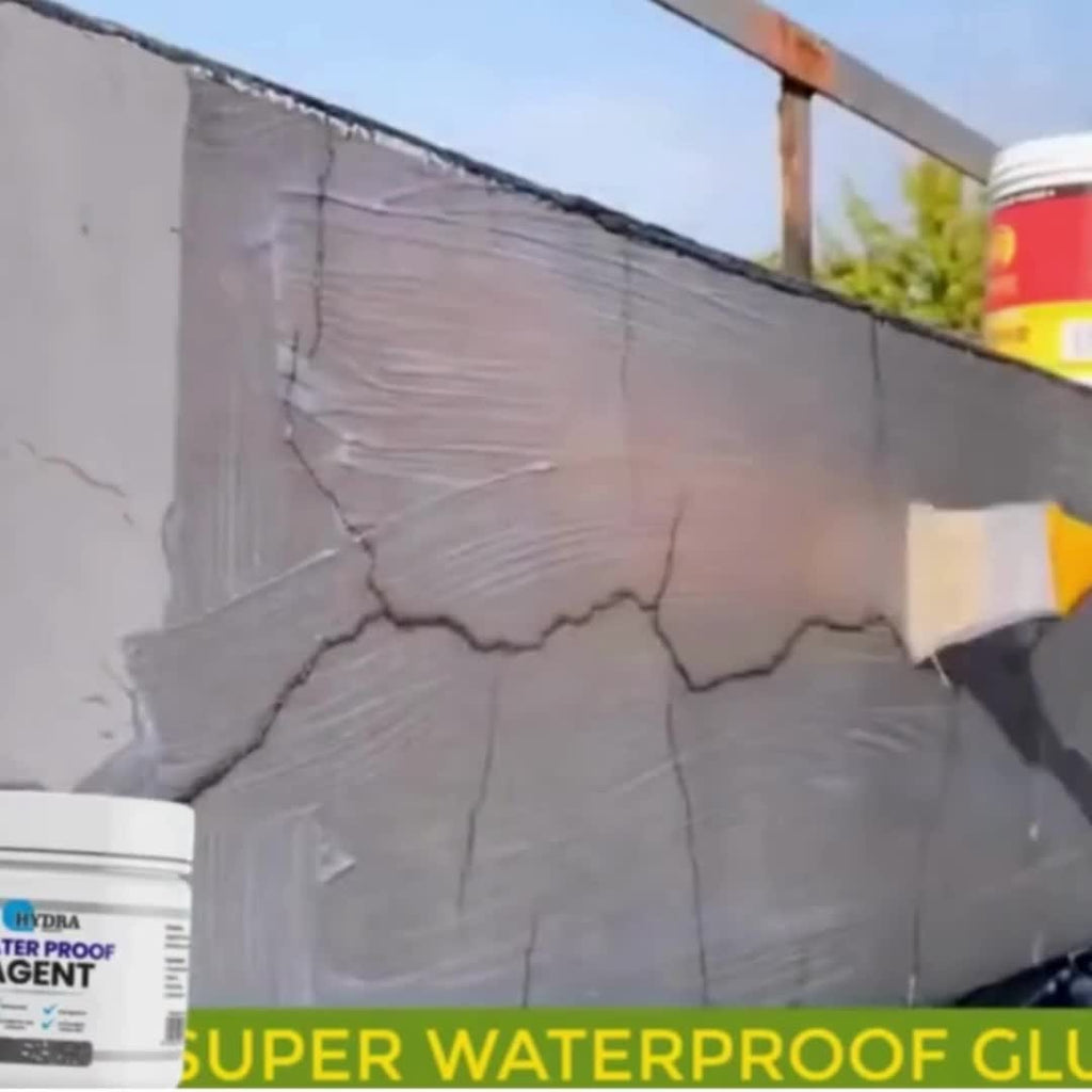 Buy 2 Get 1 Free Country Chemical  | Waterproof Agent (Waterproof Leak Agent) 1kg